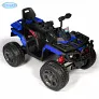Детский электроквадроцикл Barty T099MP - Фото 3