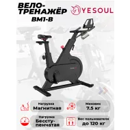 Инерционный велотренажер Yesoul BM1-B