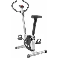 Инерционный велотренажер Sundays Fitness ES-8001 (черный)