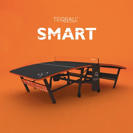 Всепогодный игровой стол TEQBALL SMART - Фото 10