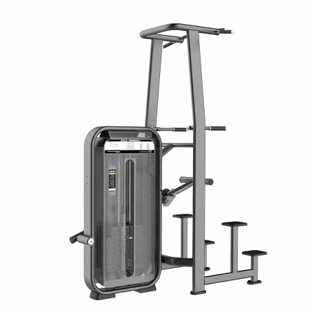 Турник, брусья с противовесом DHZ Dip/Chin Assist Стек 110 кг E-7009